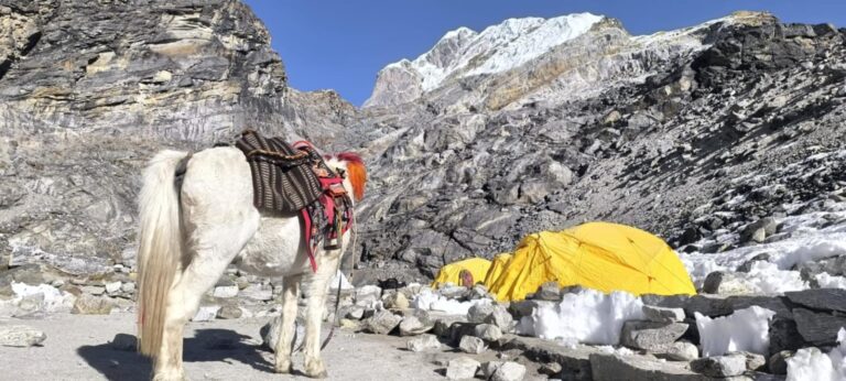 WhatsApp Image 2026-02-16 at 2.52.14 PM (2) – Copy